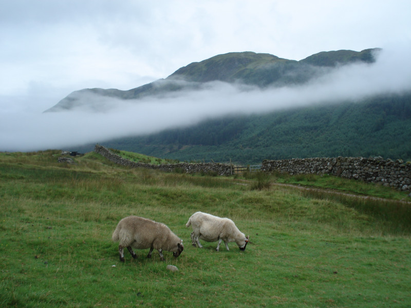 16 BenNevis 09