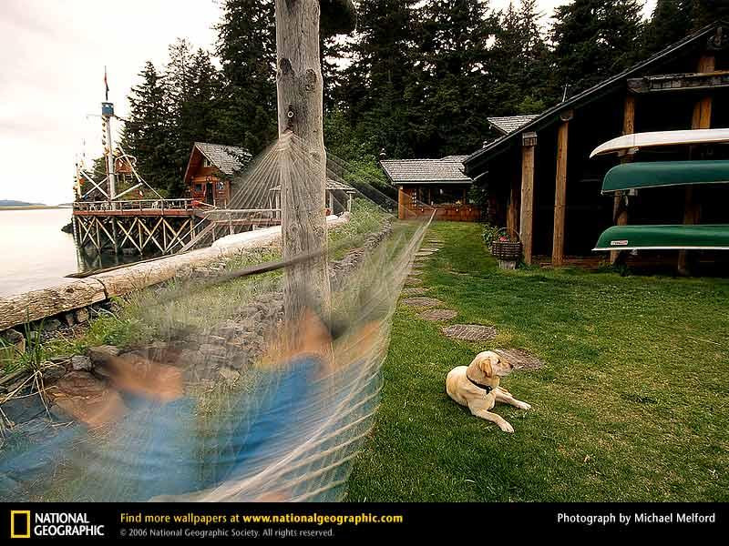 kachemak-hammock-91824-sw (Medium)