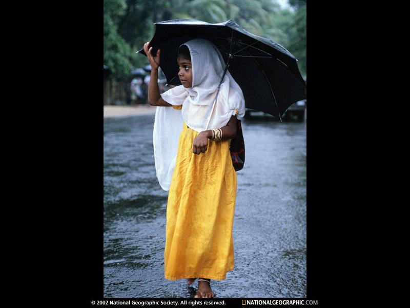 monsoon-portrait-468545-sw (Medium)