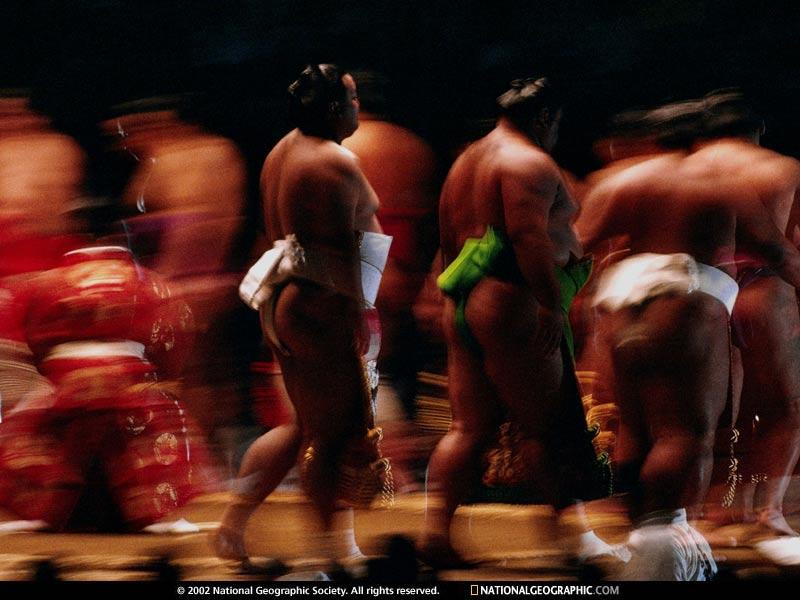 sumo-wrestlers-509721-sw (Medium)