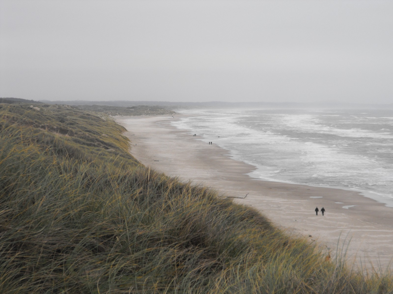 Hirtshals tengerpart Havet kyst i Hirtshals