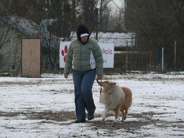 Dávid/Lucky