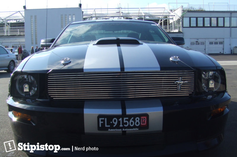 Shelby grill
