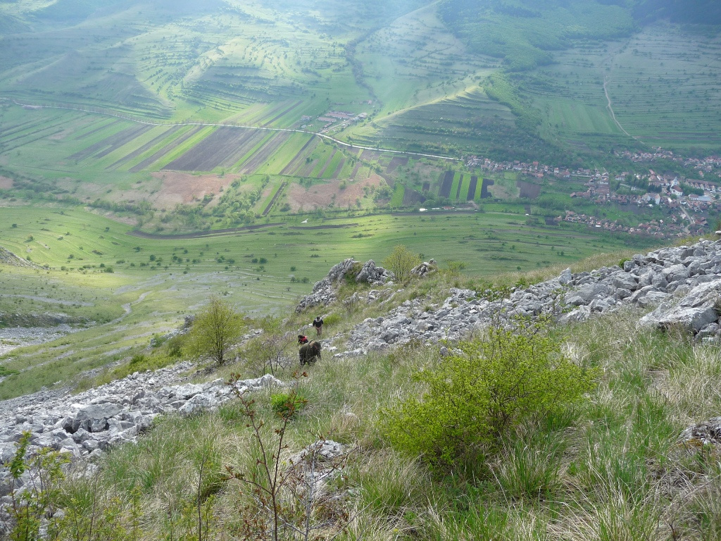 Erdely 2011 D Torocko szekelyko 045