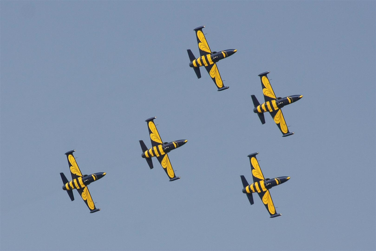 Kecskemét repülőnap 2013 - Baltic Bees L-39 Lettország