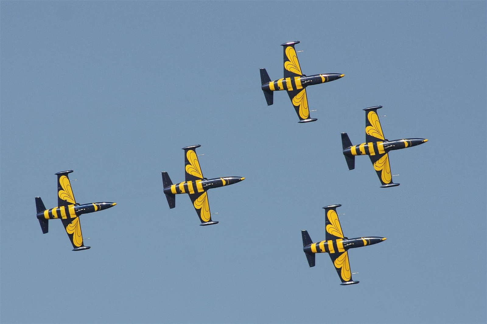 Kecskemét repülőnap 2013 - Baltic Bees L-39 Lettország