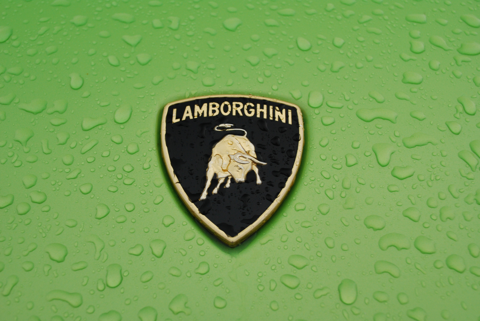 Lamborghini