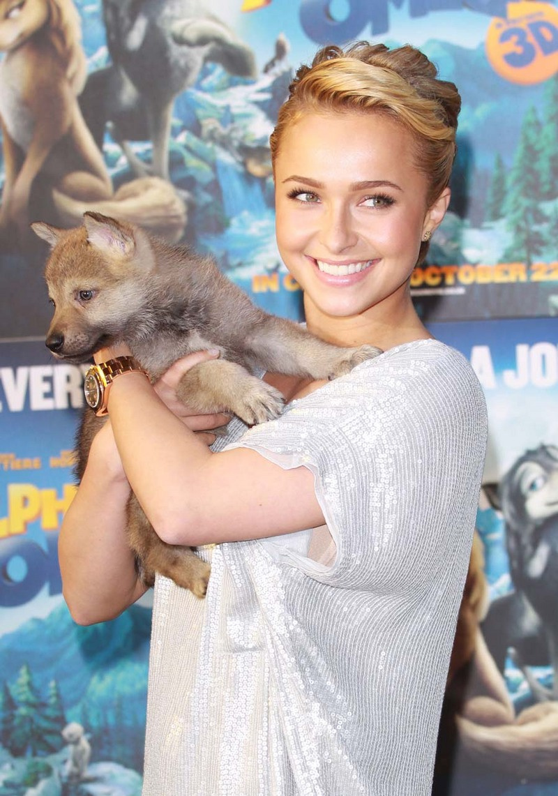 gallery enlarged-hayden-panettiere-cut-alpha-omega-10102010-18