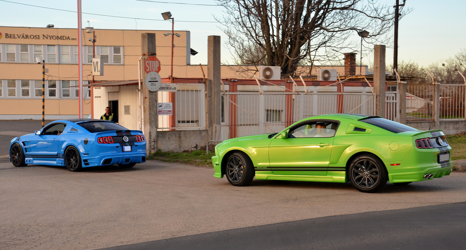 Shelby GT500 - Mustang GT