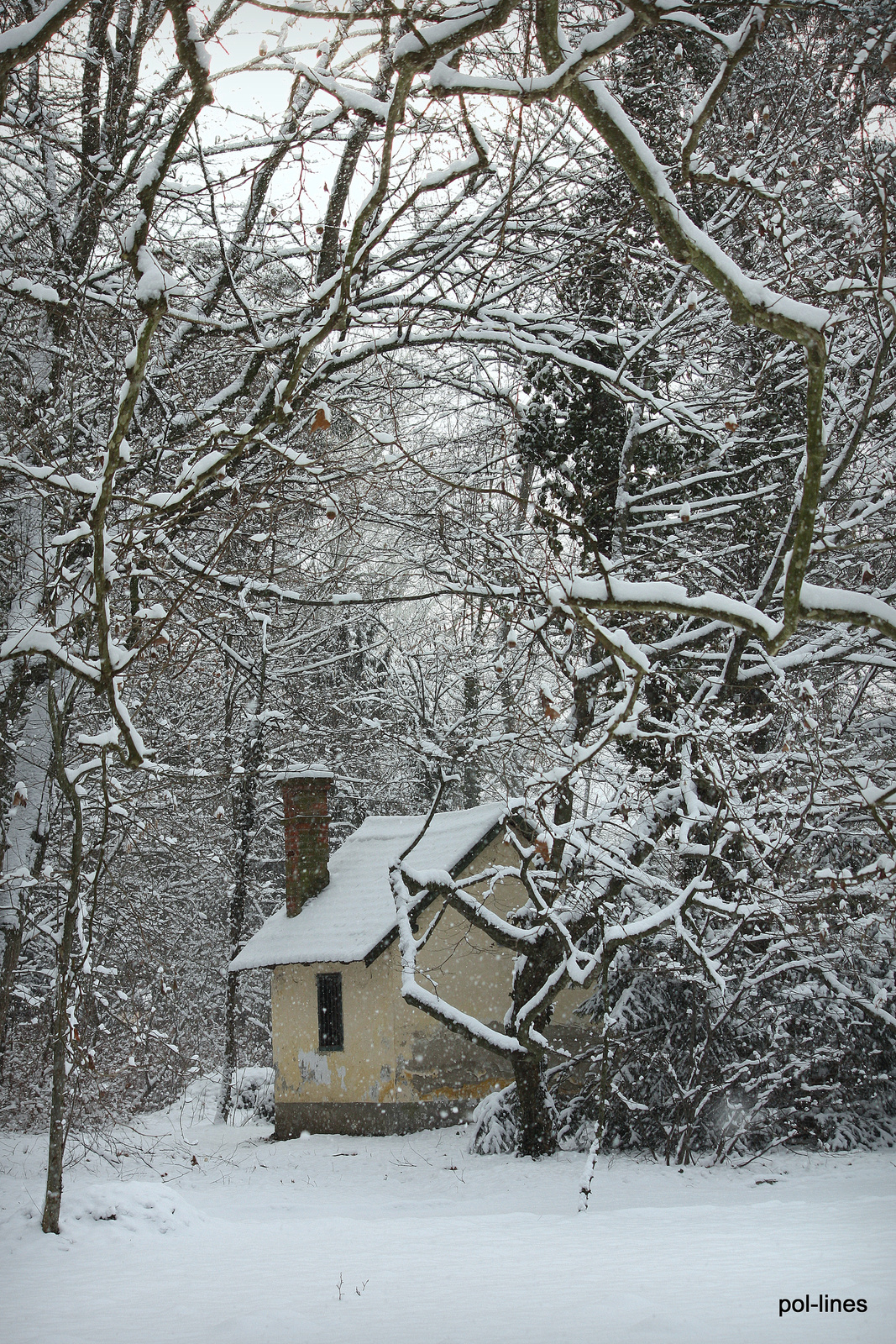 Winter house