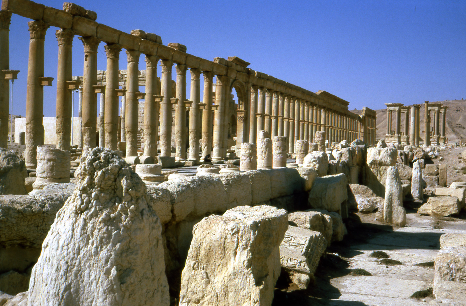 Palmyra