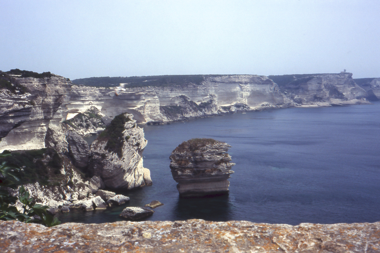 069 Bonifacio