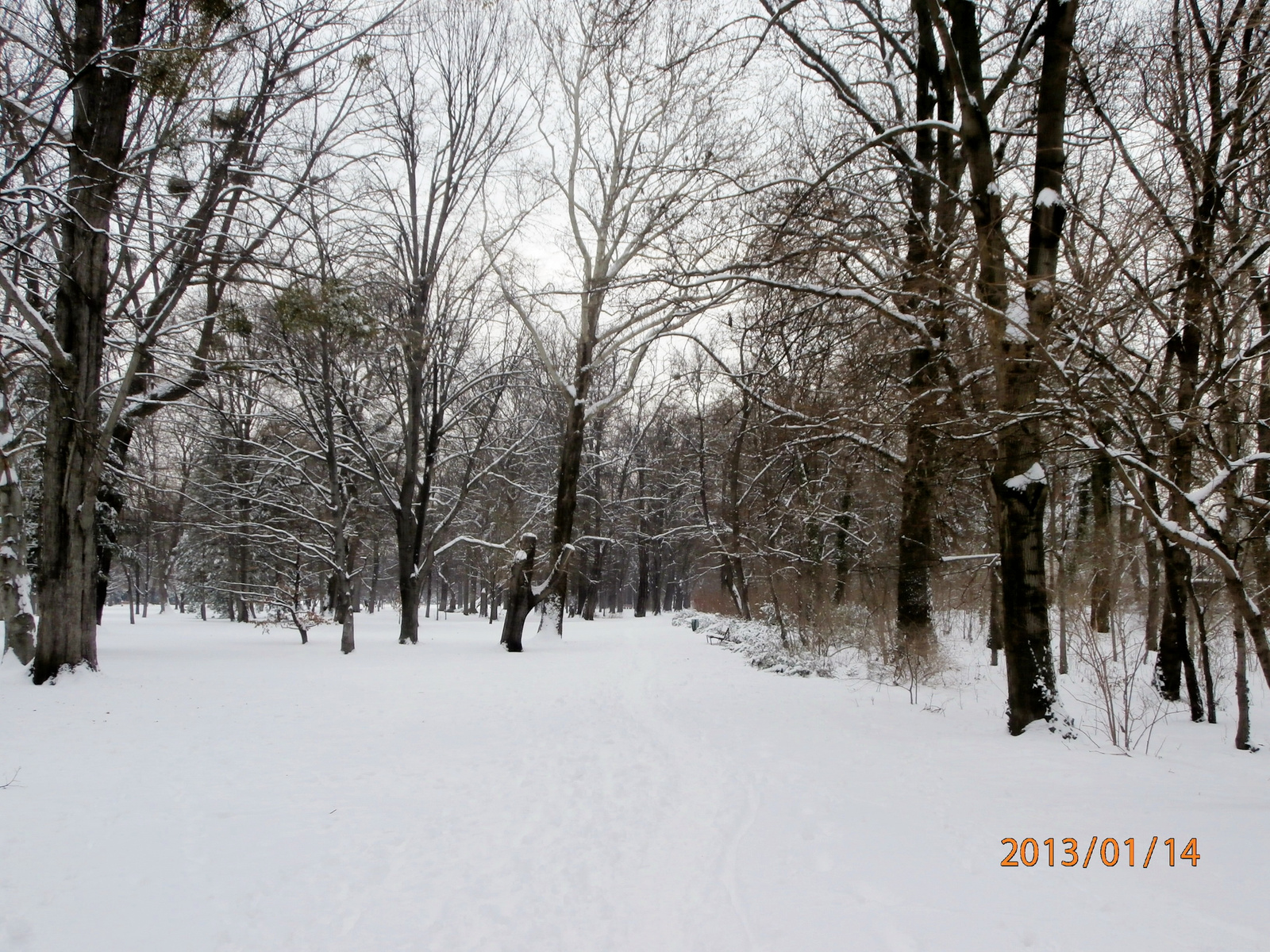havas táj a Margitszigeten