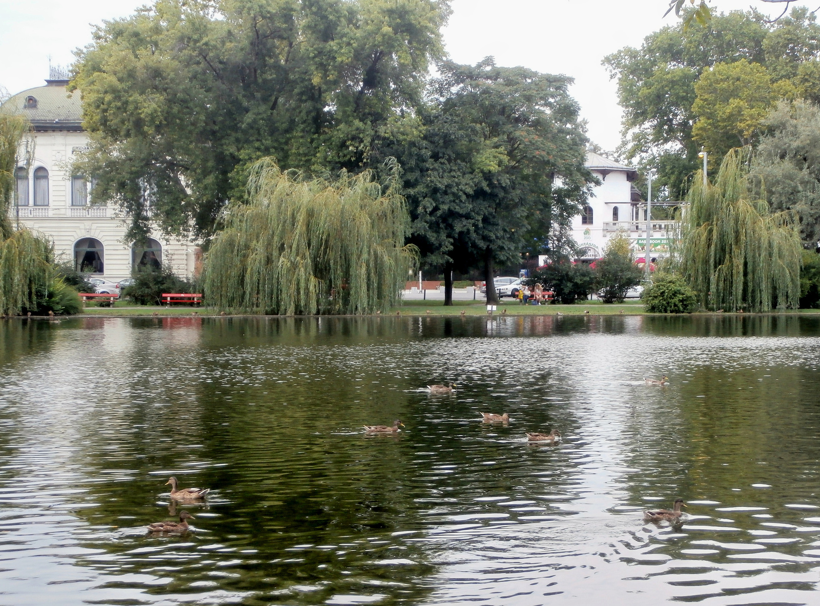 városligeti tó