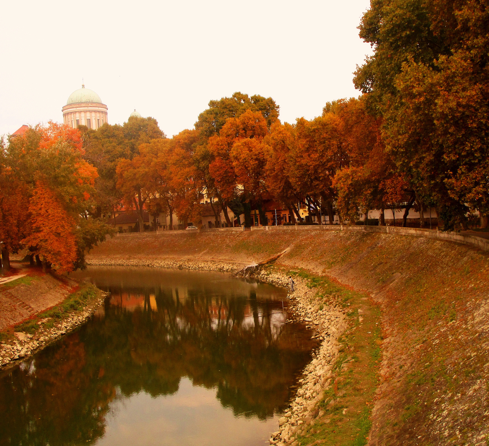 Bazilika tükör