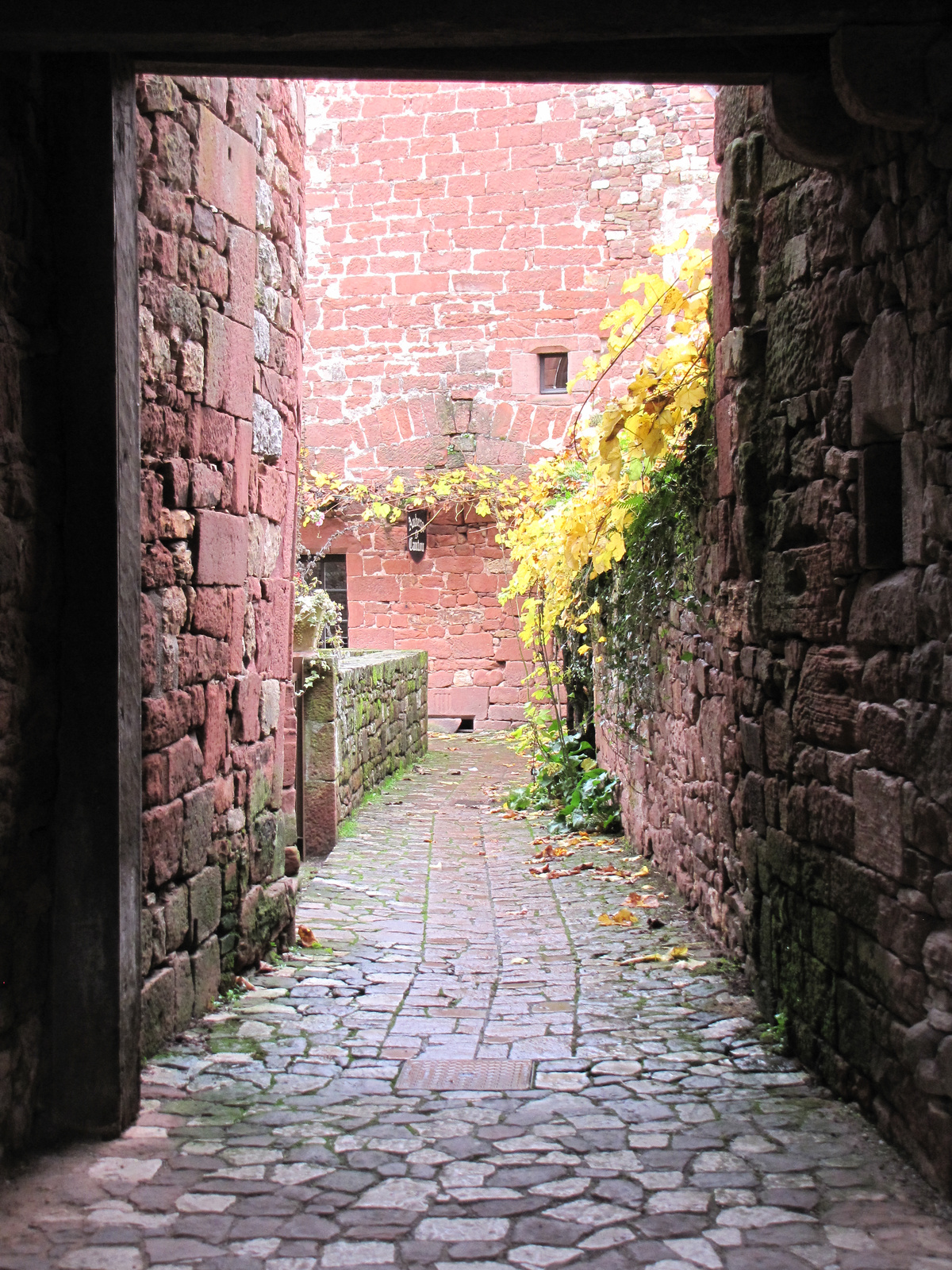 Collonges la Rouge3