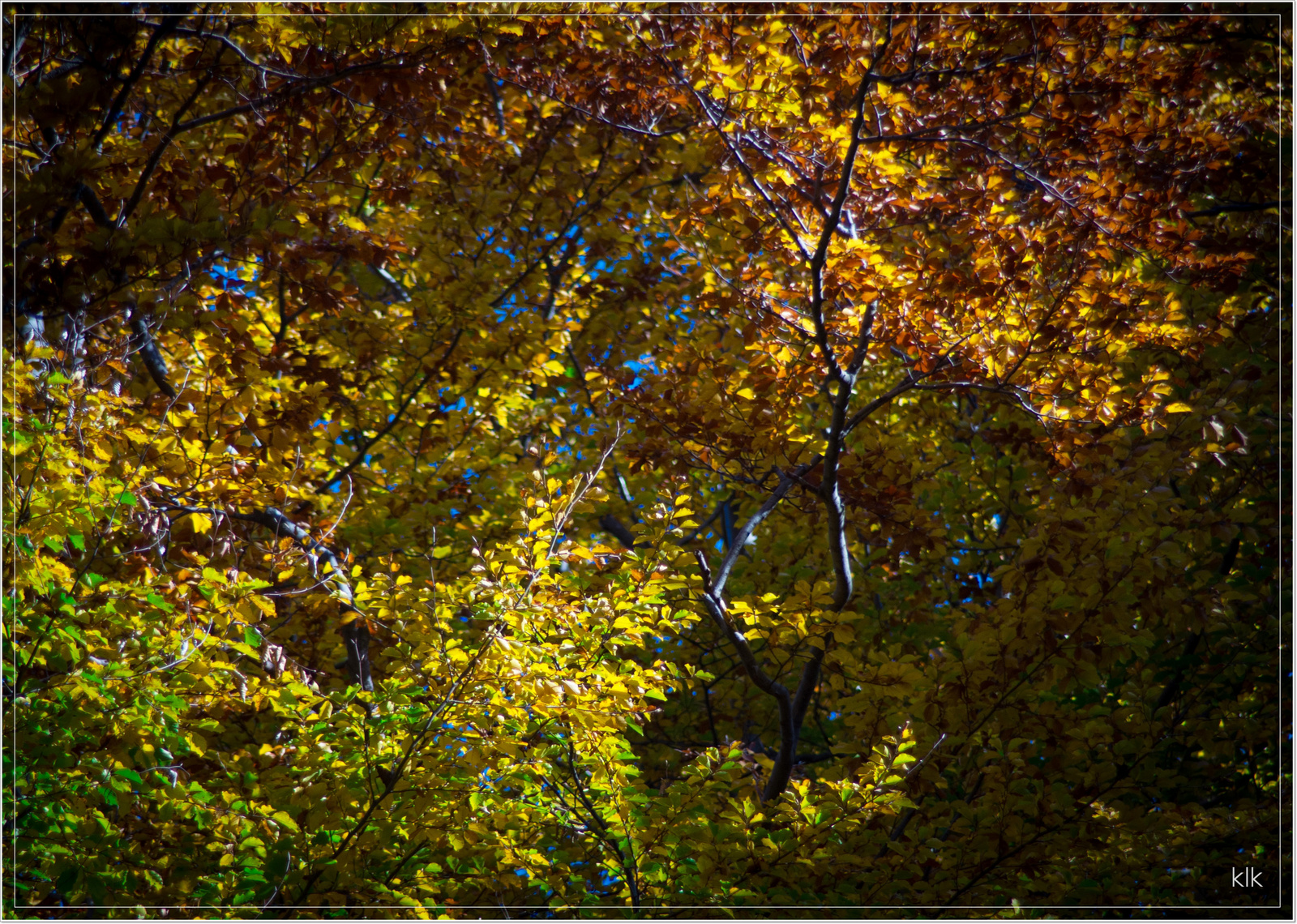 őszi színek #2