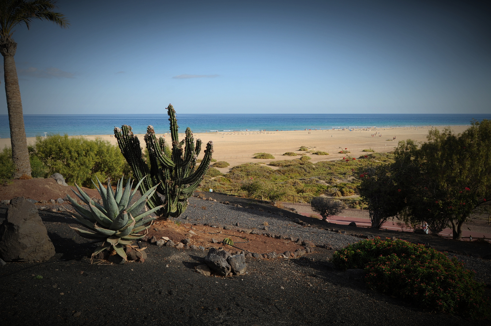 Fuerteventura landscape