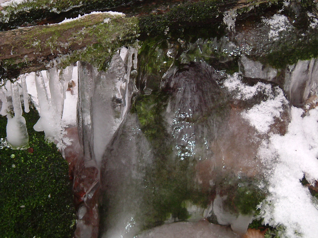 DSCF6608Izra-tó felé, Bodnár-forrás