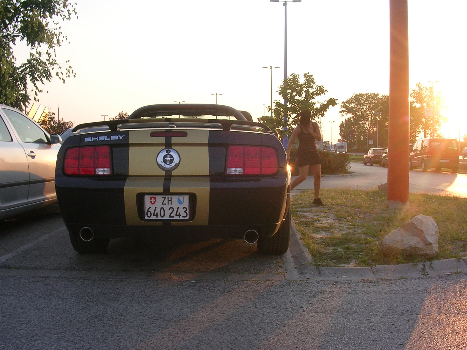 Shelby GT 350