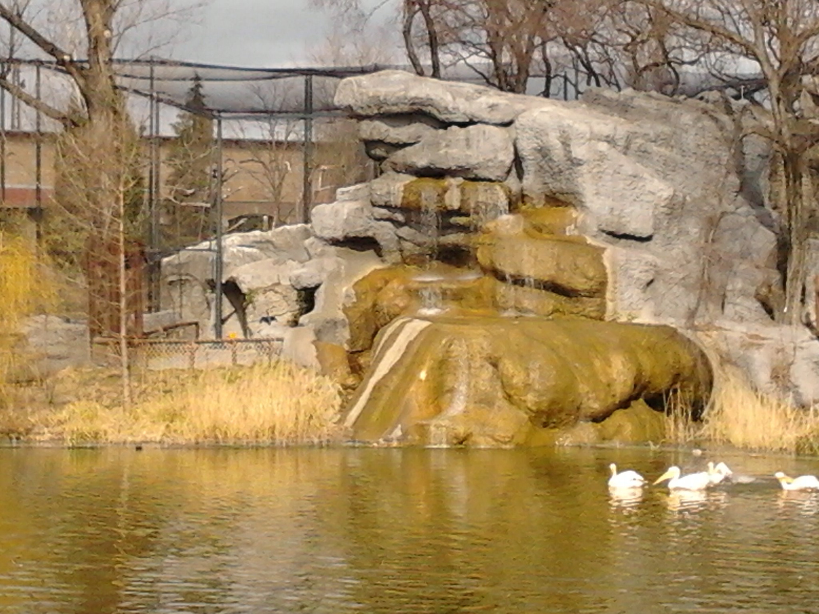 Állatkert nagy tó