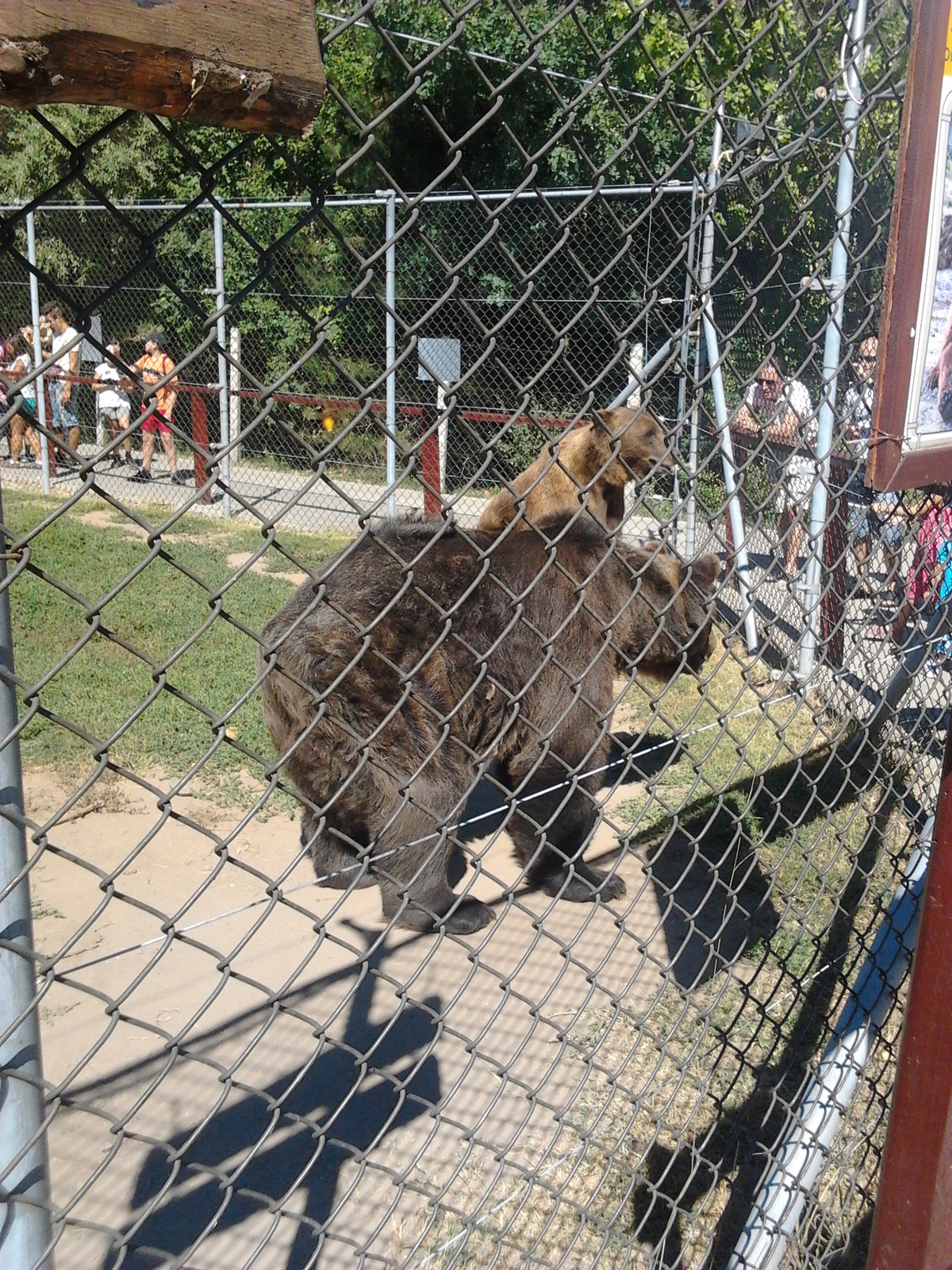 Veresegyházi Medvepark