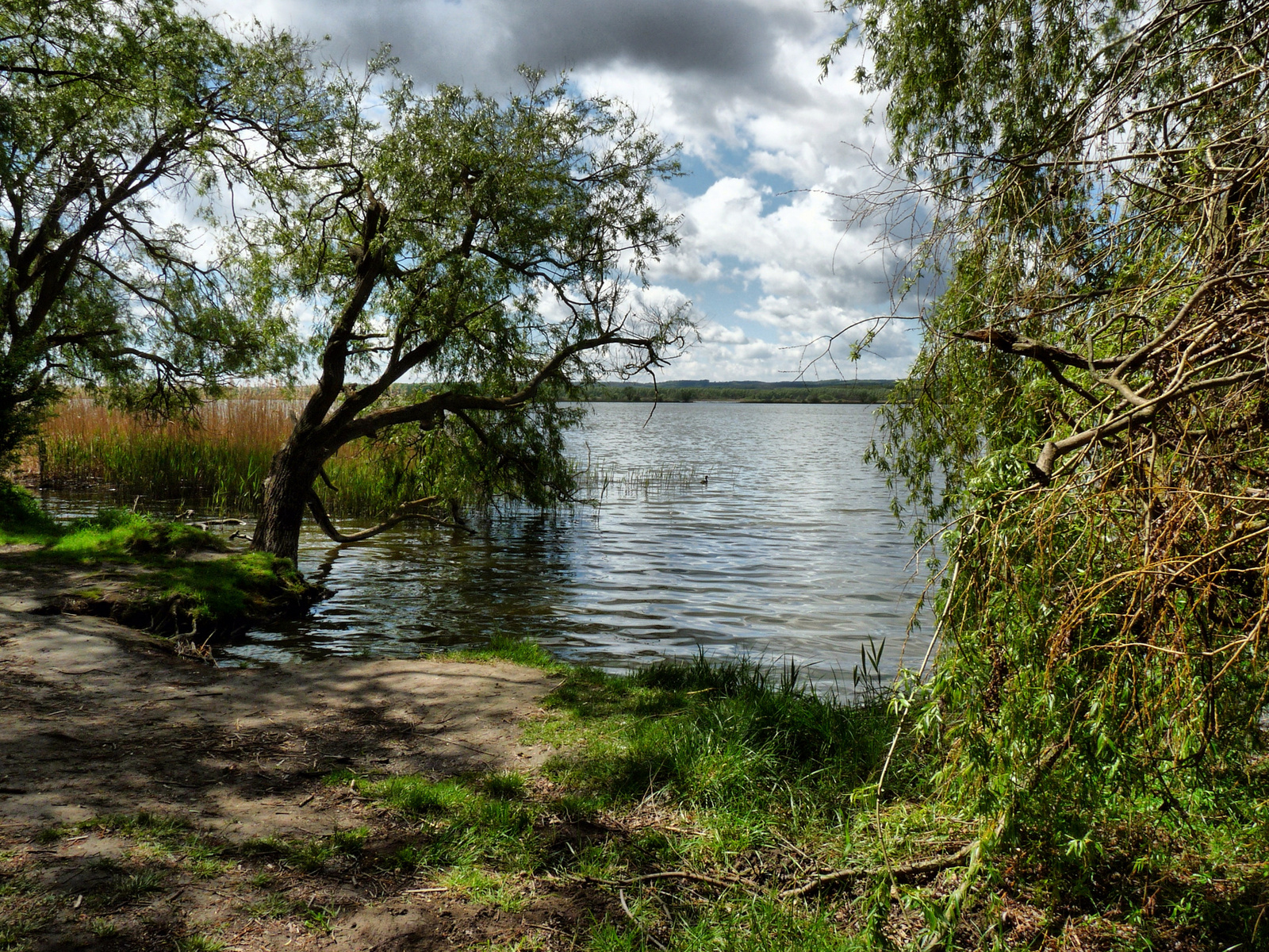 Kányavárisziget.... Kis-Balatonnál