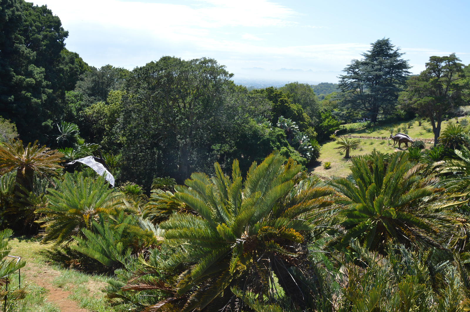 Kirstenbosch Kert reszlet 2