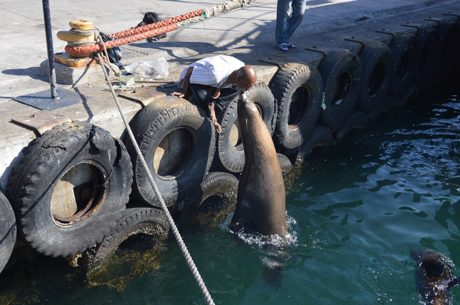 Hout Bay Produkcio A szajabol adta oda a halat