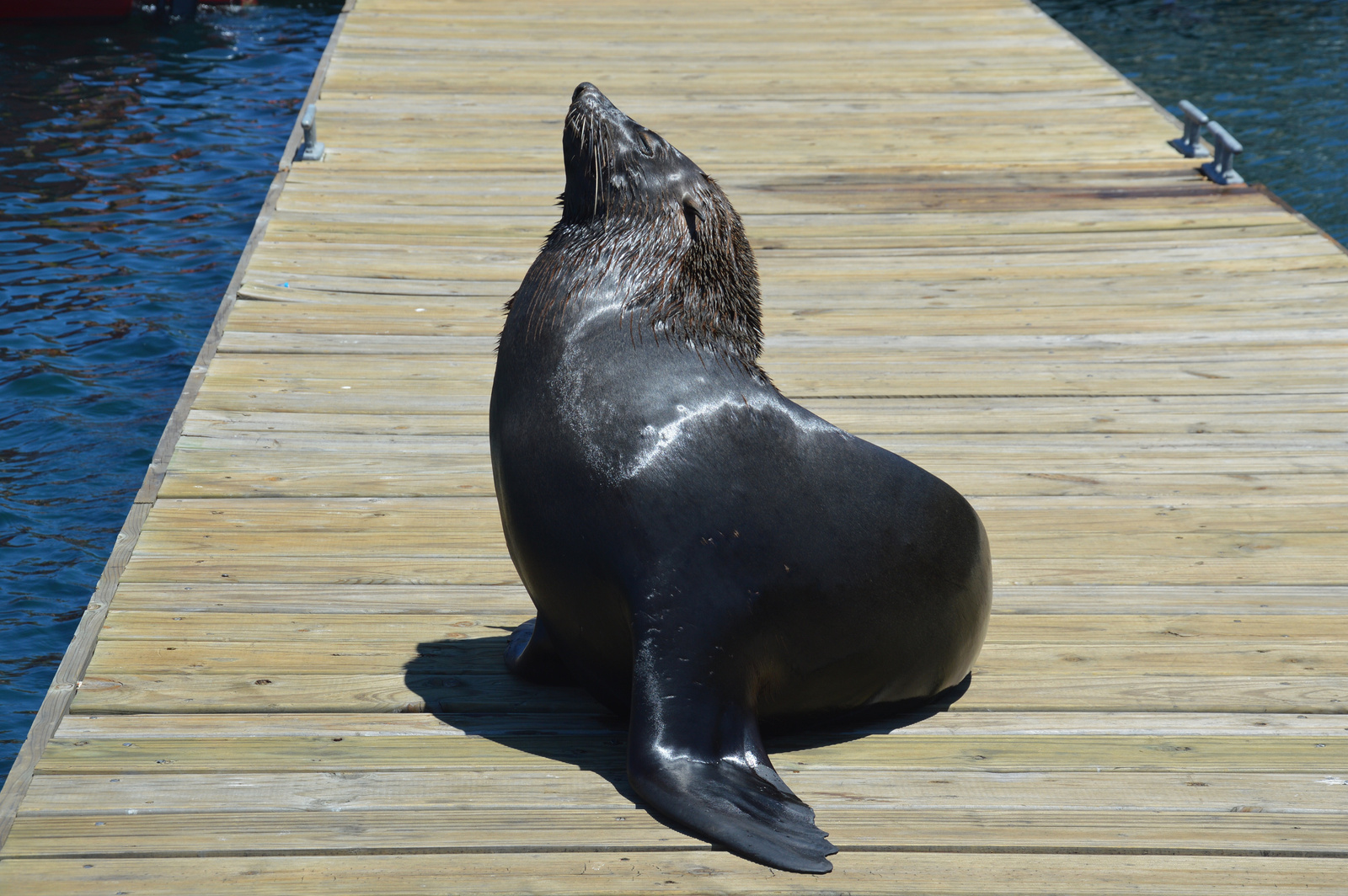 V&amp;A Waterfront Elvezi a Napot