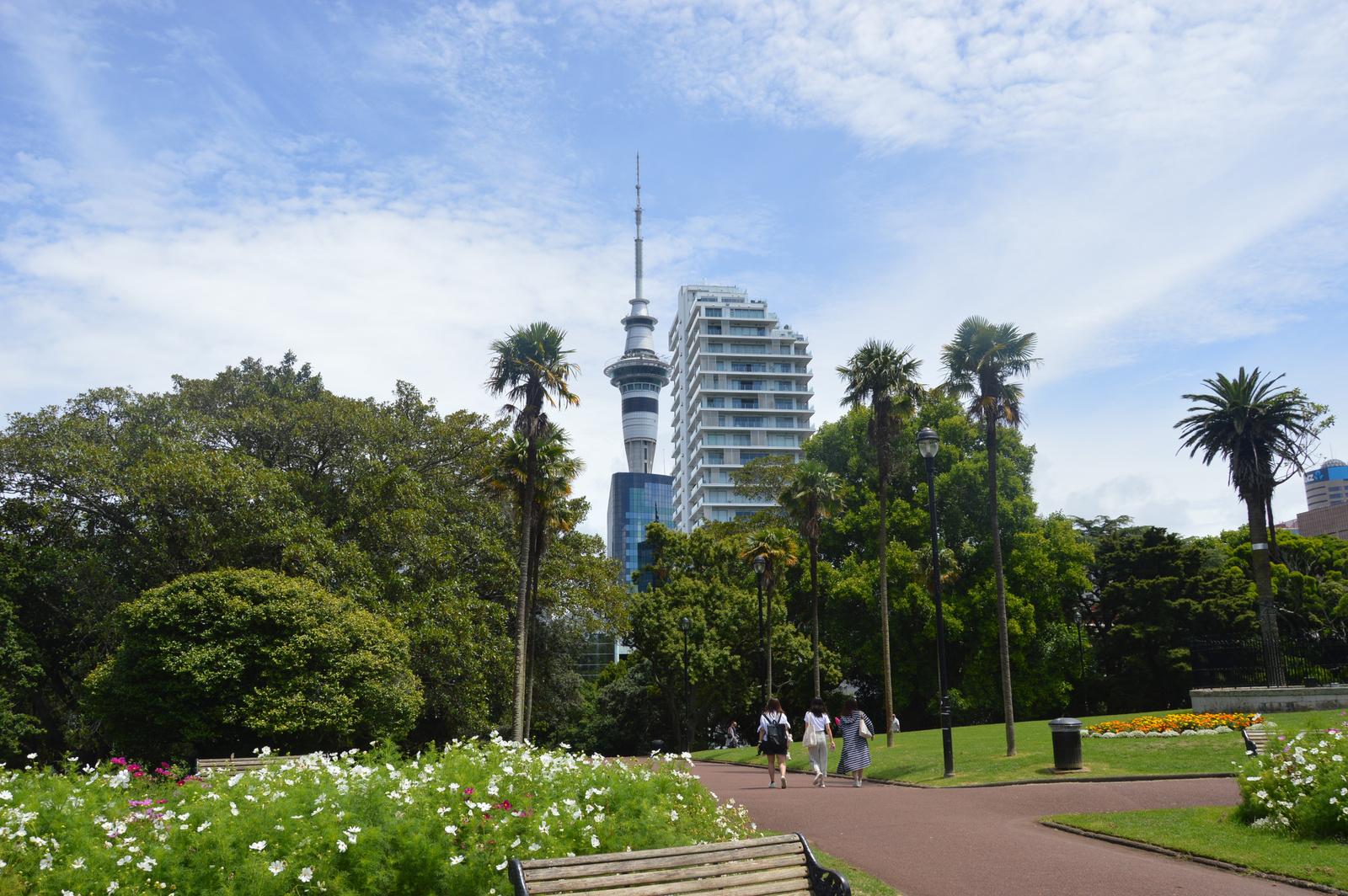 Auckland Albert Parkból Sky Tower