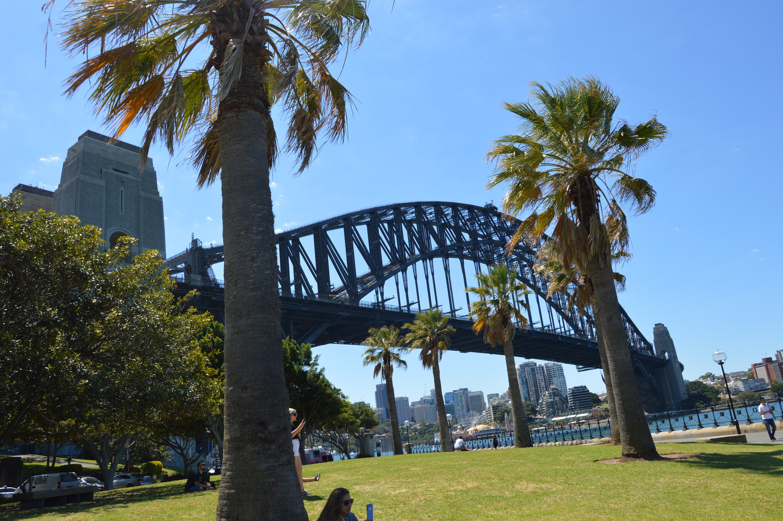 Sydney Harbour Bridge és pálmák