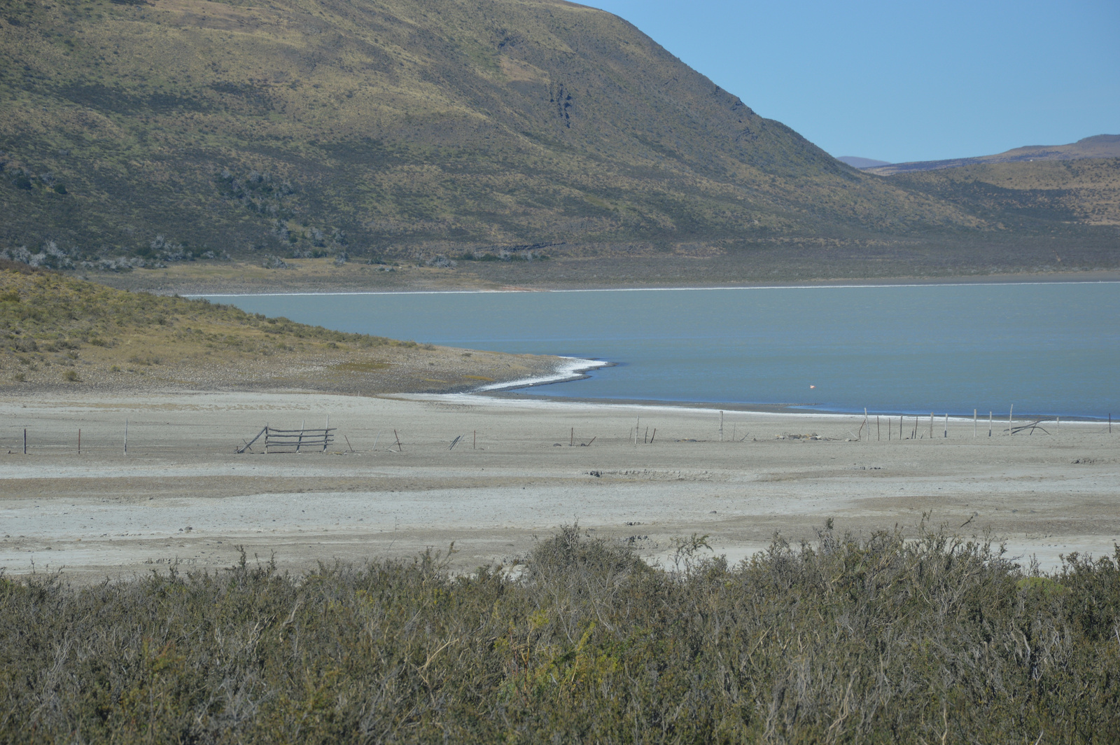 Laguna Amarga fehér sókiválás a parton