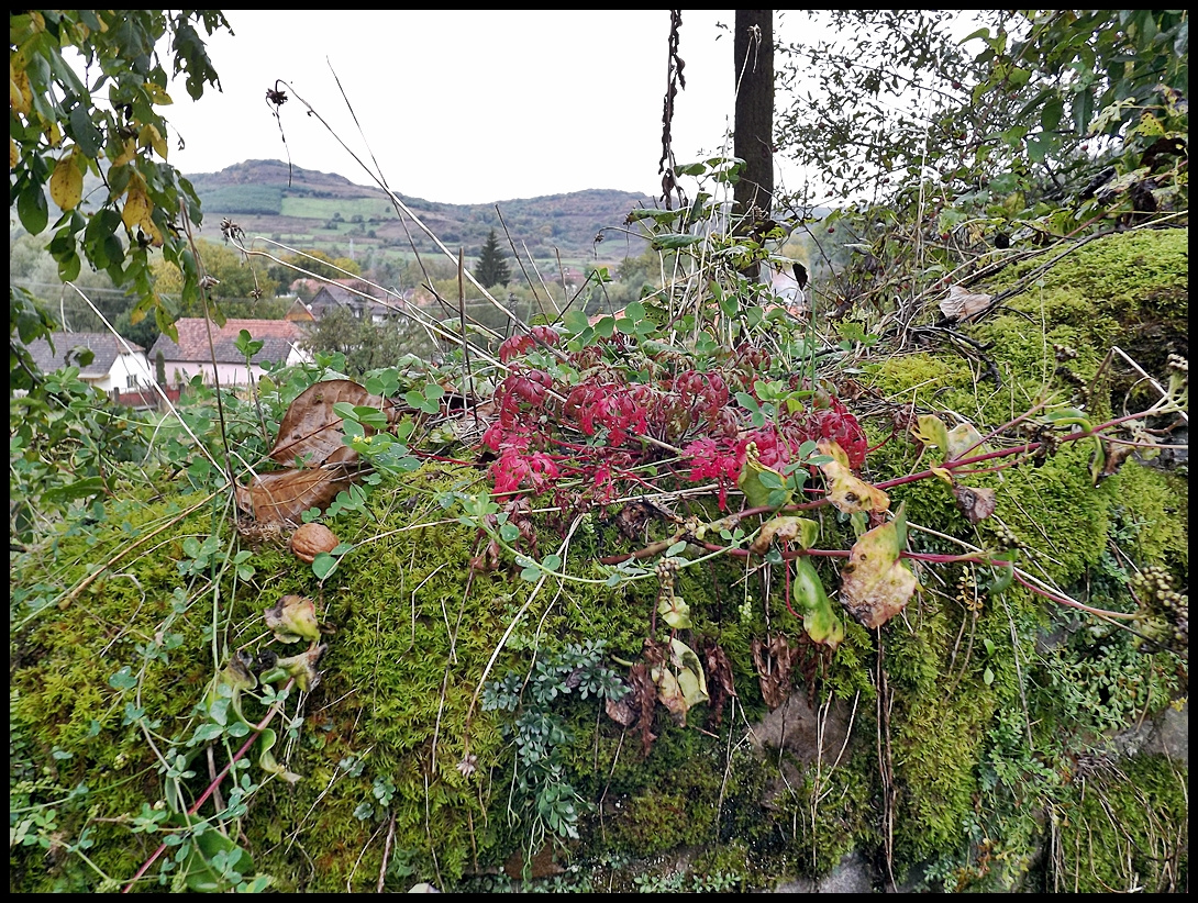 2013 09 28 Kőrispatak 092