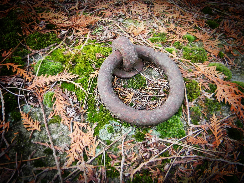 058--- még,hogy a temetőben nincs mit fényképezni.