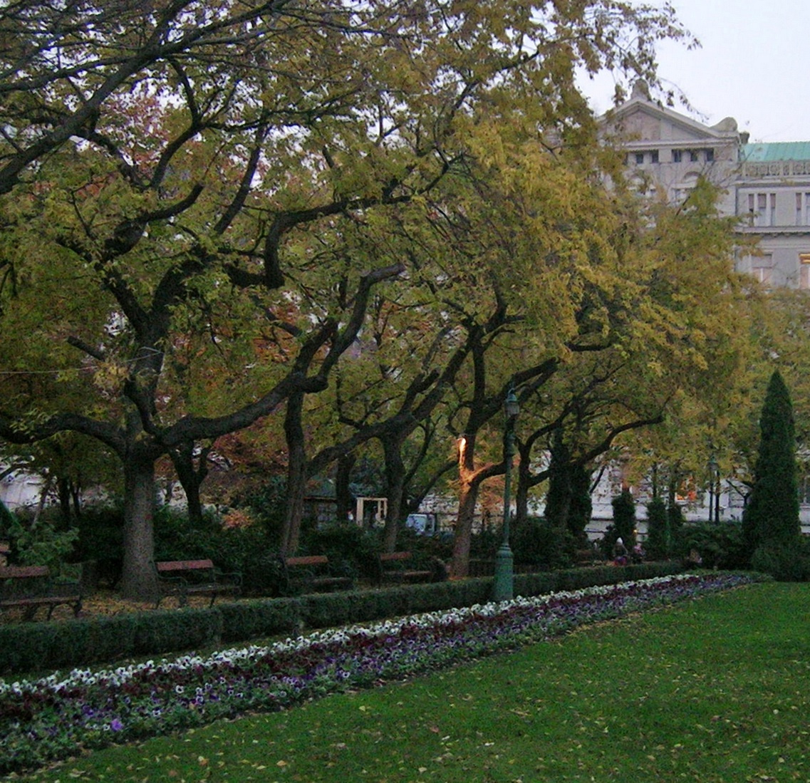 ősszel a parkban