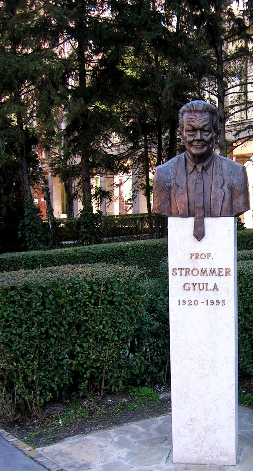 Prof. Strommer Gyula
