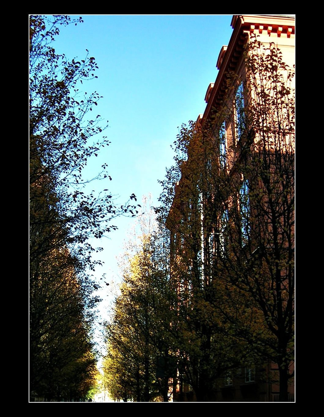 őszi utcakép