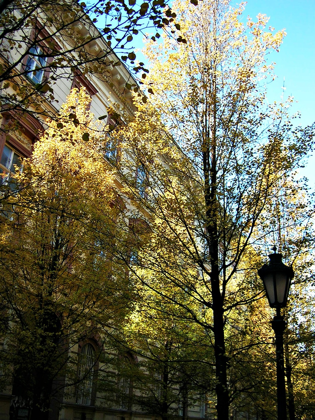 őszi utcakép...