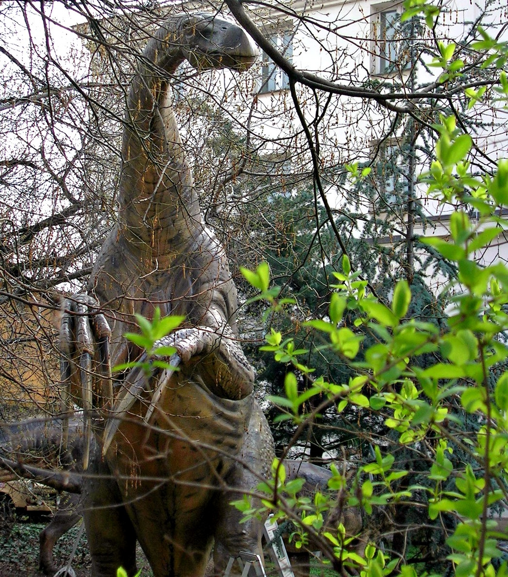 dinoszauruszok földjén