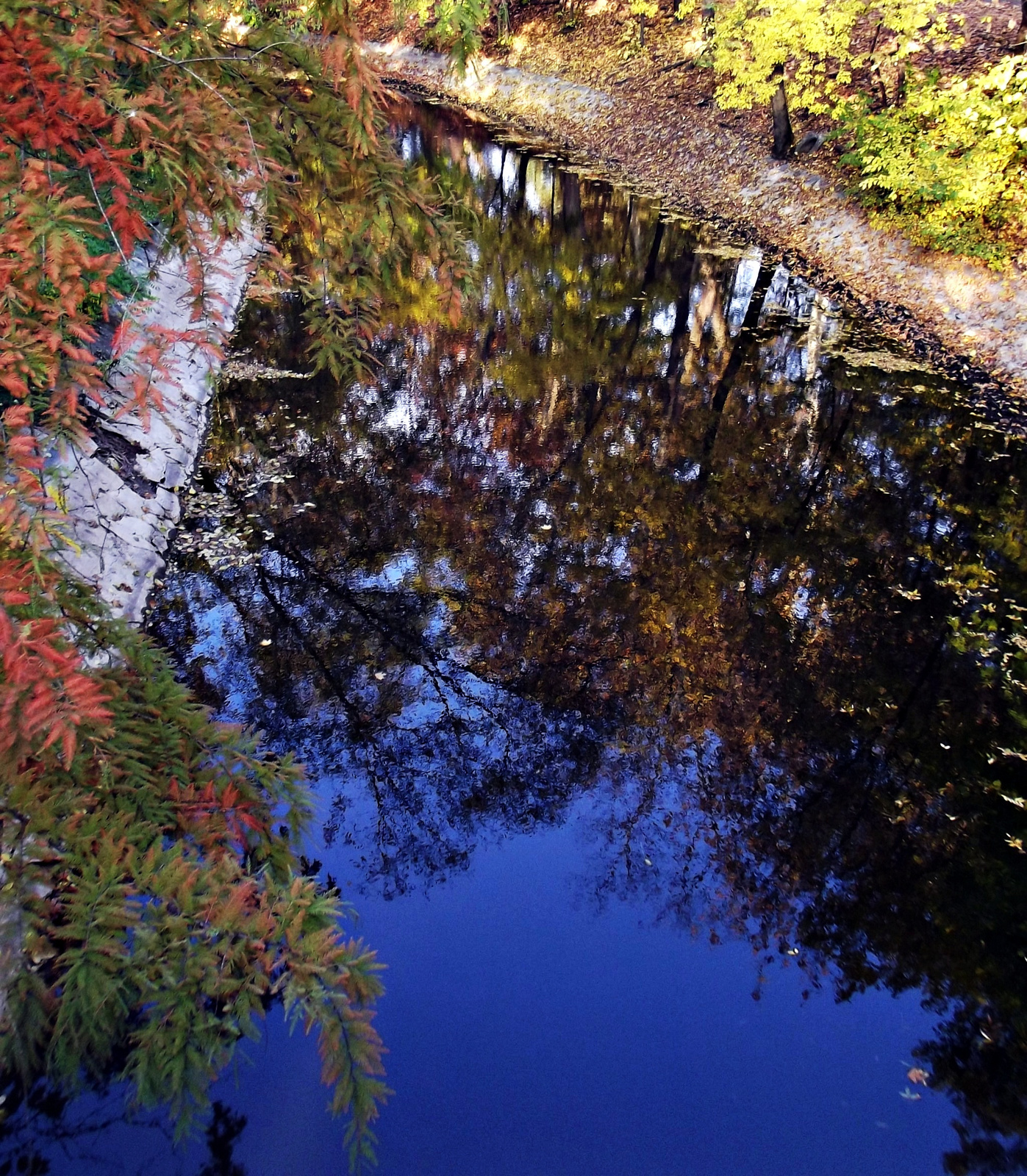 tükröződő ősz