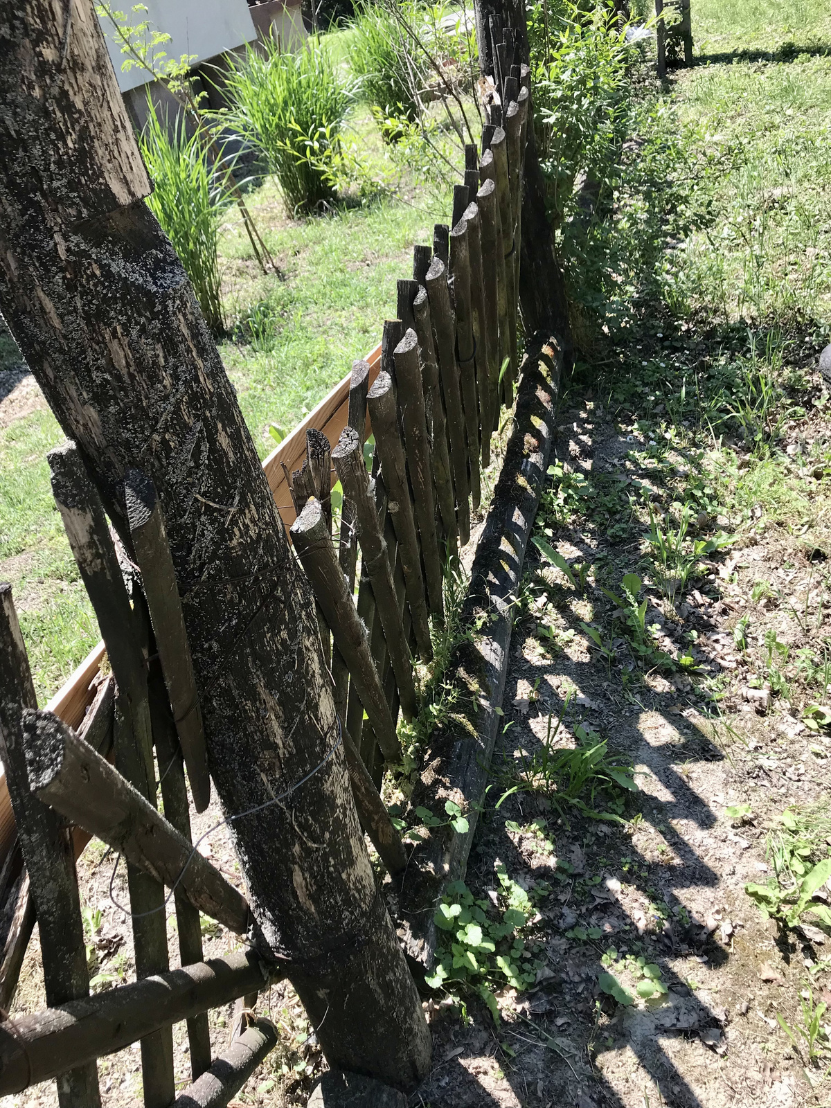 dupla kerítés