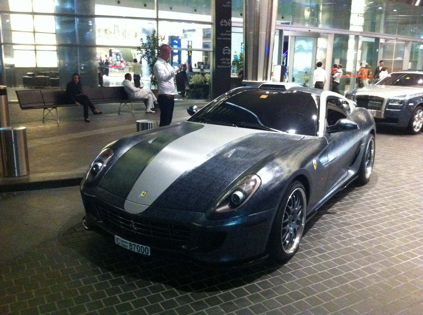 Ferrari 599 GTB Fiorano Hamann Snake Grey Leather