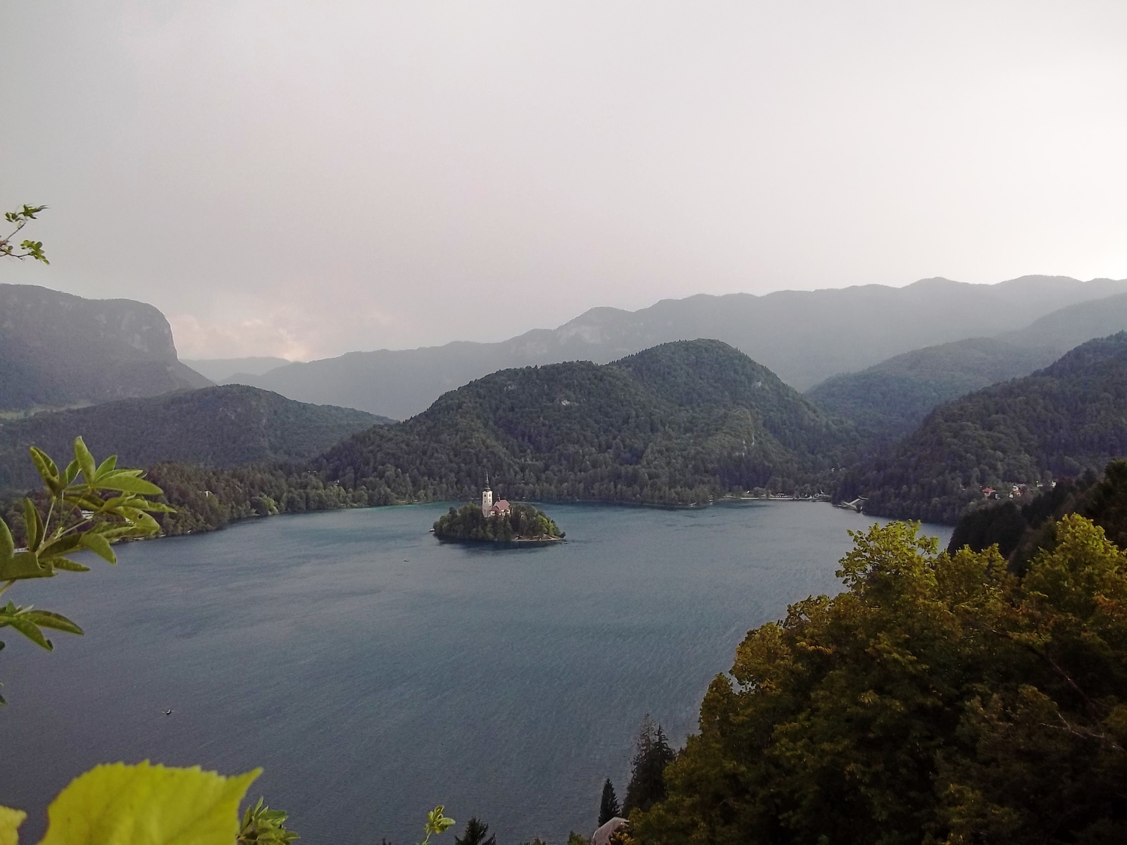 Bled