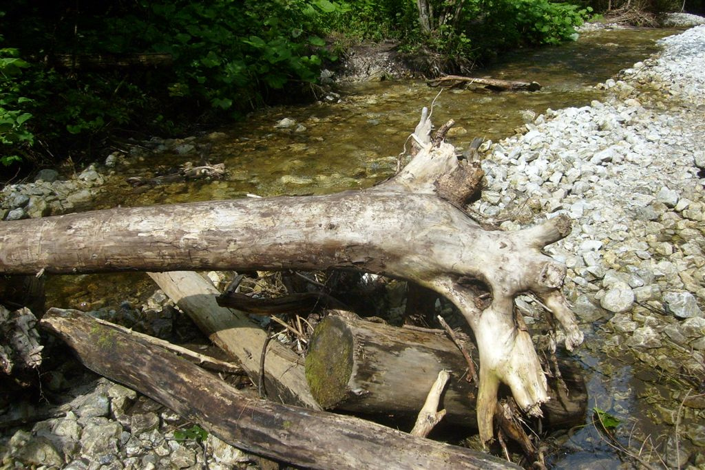 Szlovákia 2010 099