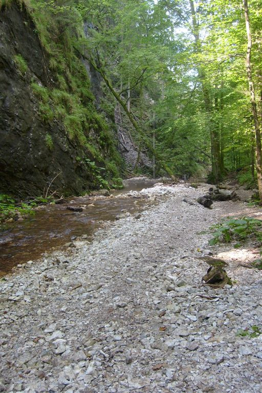 Szlovákia 2010 119