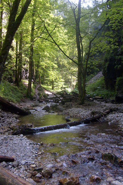 Szlovákia 2010 131