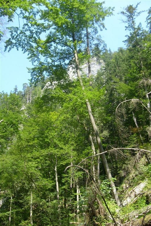 Szlovákia 2010 136