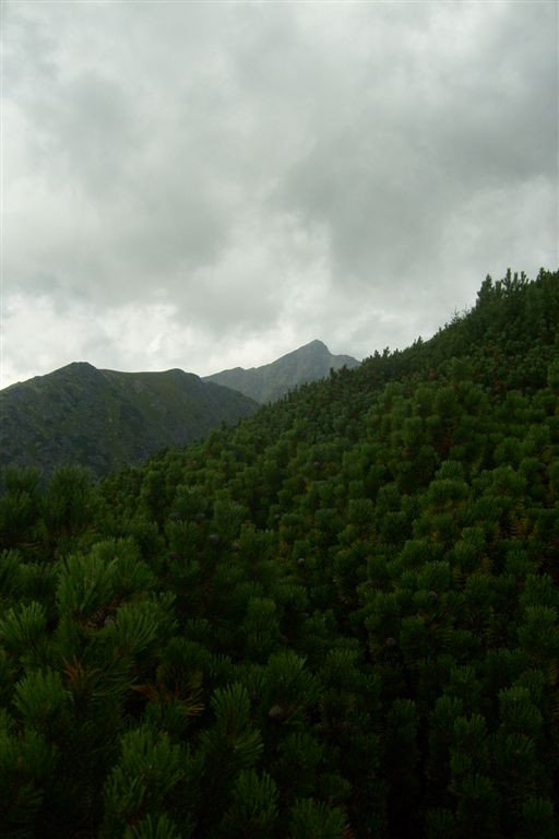 Szlovákia 2010 662