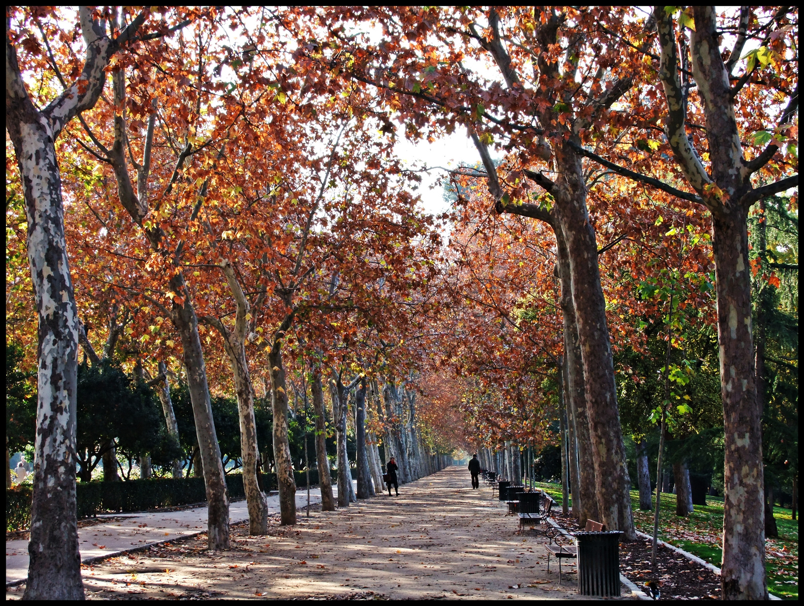 Parque Retiro 04.